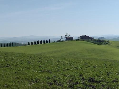 Agriturismo Poggio Repenti - Hotel - Corsano