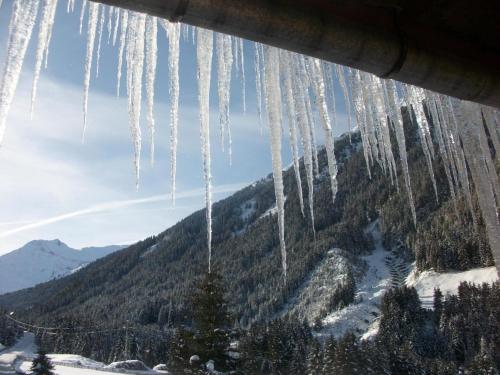 Ferienwohnung für 8 Personen ca 100 qm in Juifenau, Tirol Nordtirol