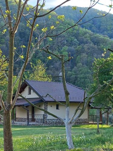 Drinski Zen - Location saisonnière - Okletačko Polje