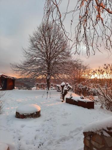Kuckucksnest - Ferienwohnung Welschneudorf in Welschneudorf