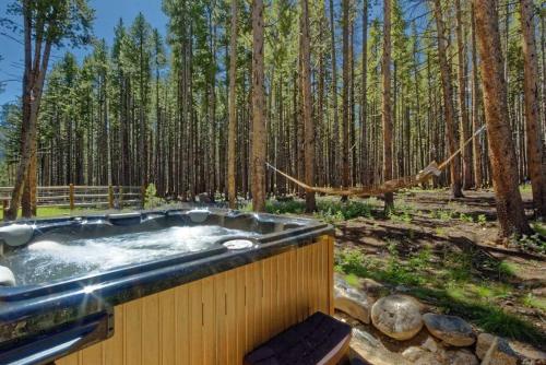 Lazy Fox Lodge in National Forest View in Breckenridge, USA