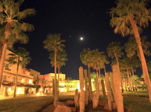 Garden, Loreto Bay Golf Resort & Spa at Baja in Nopoló