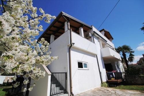 Ferienwohnung für 4 Personen 1 Kind ca 65 qm in Novigrad, Istrien Istrische Riviera