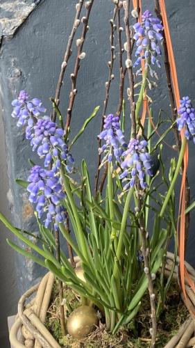 JUGENDSTIL VILLA LEOBEN GÖSS - nahe SPIELBERG FORMEL 1 JUGENDSTIL VILLA LEOBEN GÖSS - nahe SPIELBERG FORMEL 1
