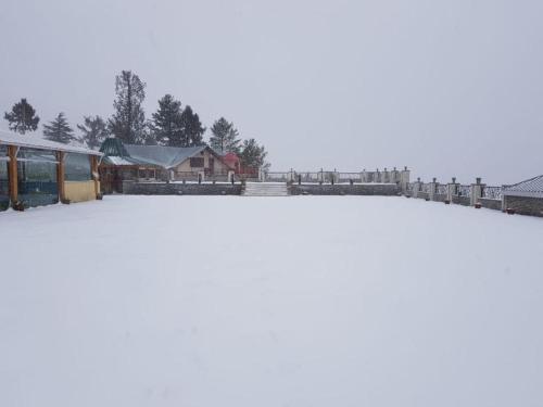 The Ananda Kufri, Shimla