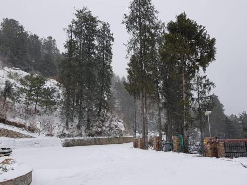 The Ananda Kufri, Shimla