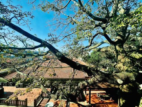 Surrounding environment, WDbnb in Kinmen Islands