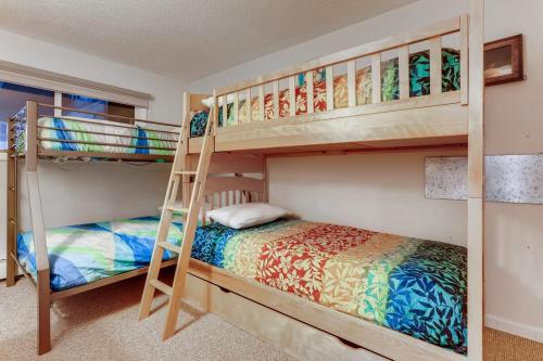 Spacious and near Main Street in Breckenridge, USA