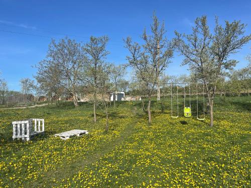 Livada Luxurious Bungalow in Petrestii De Jos