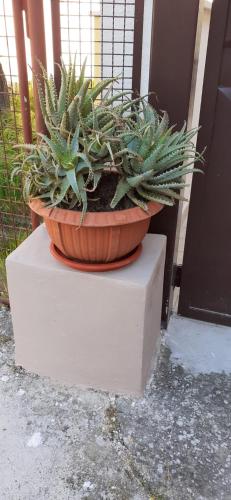 La Forosetta Guest House 5