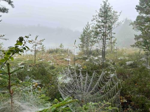 Kalles, skärgårdsidyll med utsikt över Hamnsundet