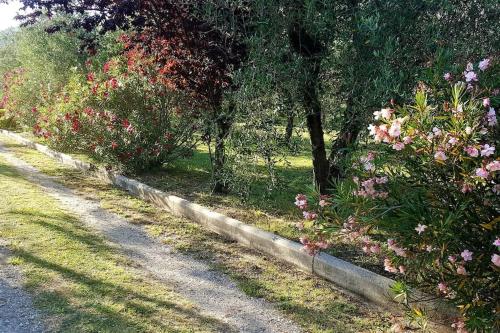 Casale Terre del Farfa