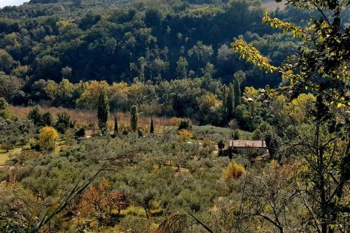 Casale Terre del Farfa