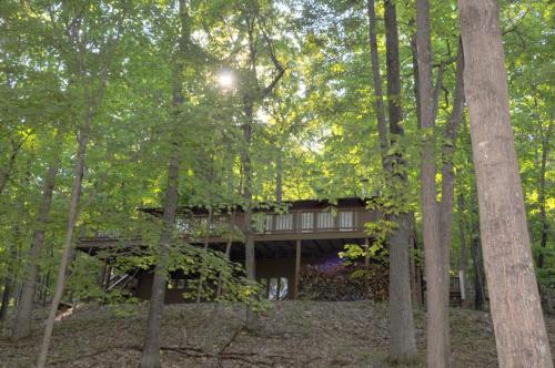 Brigadoon - image 13