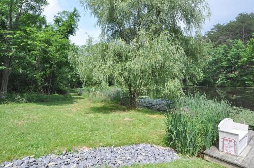 Pondview Cabin - image 11