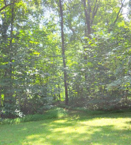 Trail's End River Retreat - image 10