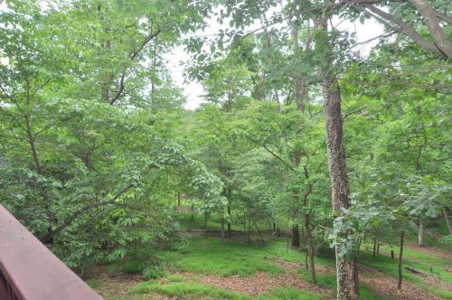 Treetop Cabin