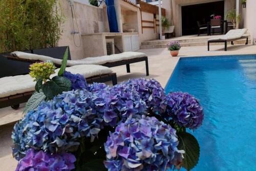 Maison Gamine mit privatem Pool - Location saisonnière - Cogolin