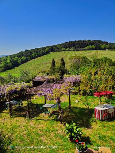 apartment with relaxing view in Badia a Passignano, Chianti, Tuscany - Apartment - Badia A Passignano