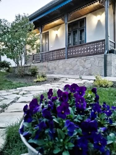 Viesnīcas āriene, MAGNETIC HOUSE in Tirgu Okna