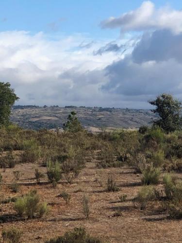 3 Marias da Retirada