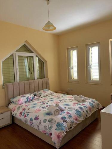Natalia's House Surrel Villa, Tirana (photo 4)