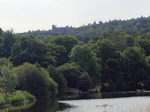 chalet des bourdons gîte à louer Laz