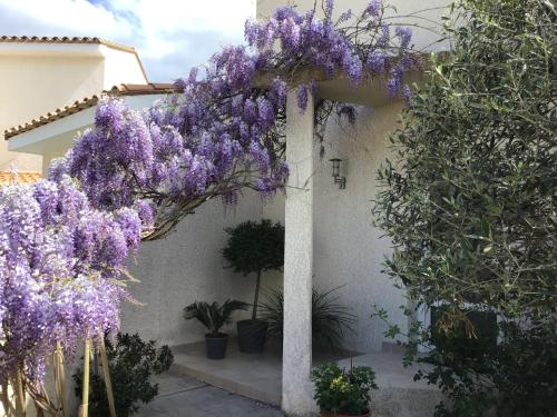 La Villa D oro - Apartment - Sorède