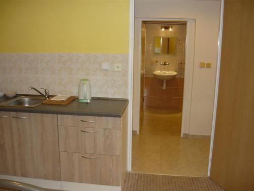 Apartments - Penzion Lena - image 11