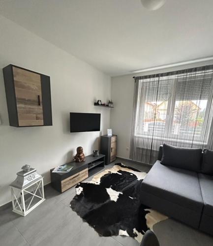 Jana Apartman