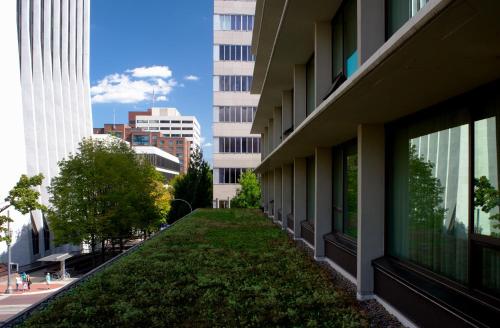 Garten, The Hotel Zags Portland in Portland Stadtzentrum