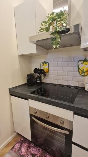 Apartament Bologna-Stadio 1, Boloňa (fotografie 9)