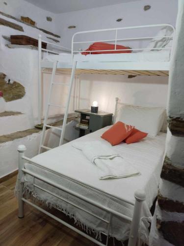 Karastamati΄s Tower House, Ándros (Foto 8)