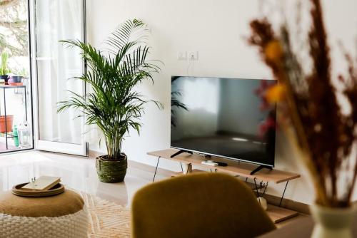 ophelia apartment - main image