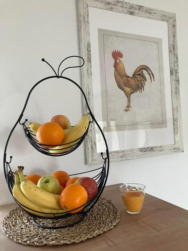 Apartman Vita in Bjelovar