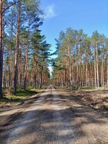 A környék, Leśniczówka (Lesniczowka) in Tluszcz