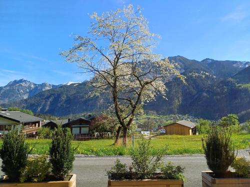 Ferienwohnung Schiebakopf in 凡丹斯