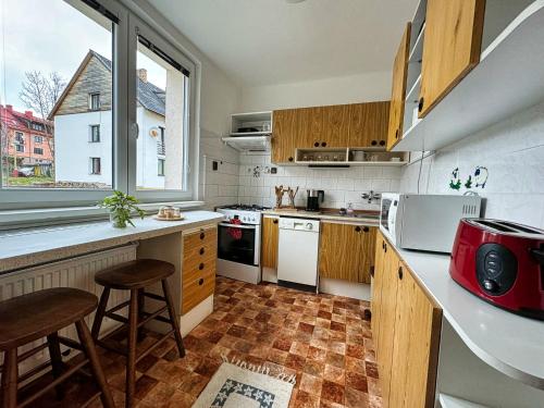 Apartman u Namesti in Frymburk City Center