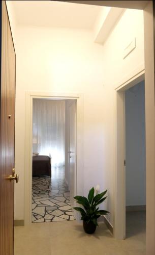 Sole & Luna Guest House 1