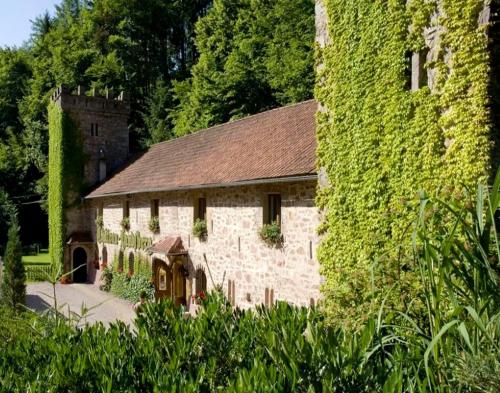 Le Château du Landsberg - Hôtel - Barr