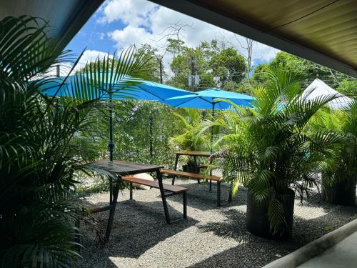 Pura Vibra Hostel in La Fortuna