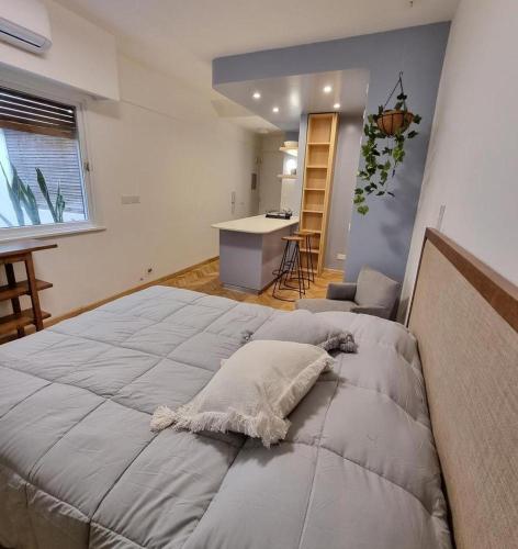 Recoleta-Monoambiente