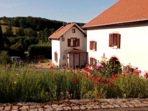 Gîte Laveline-du-Houx, 2 pièces, 3 personnes - FR-1-589-141