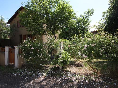 Gîte Alleyras, 3 pièces, 4 personnes - FR-1-582-176