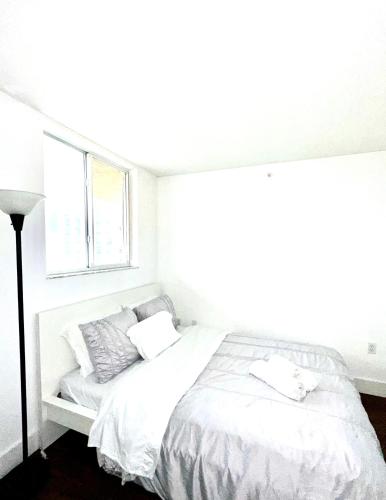 Private bedroom 1 block from Downtown Miami in Miami, USA