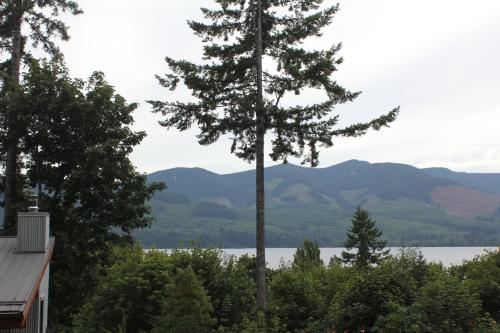 Surrounding environment, Cottonwood#2 in Youbou (BC)