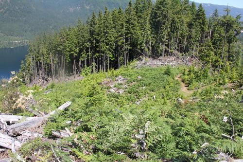 Nearby attraction, Cottonwood#2 in Youbou (BC)