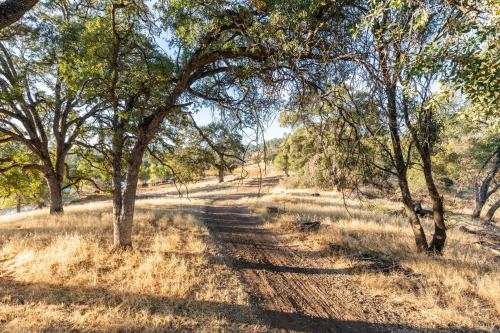 Rolling Oaks Ranch - 200 Acres of Lakeside Beauty & Countryside Serenity Rolling Oaks Ranch - 200 Acres of Lakeside Beauty & Countryside Serenity