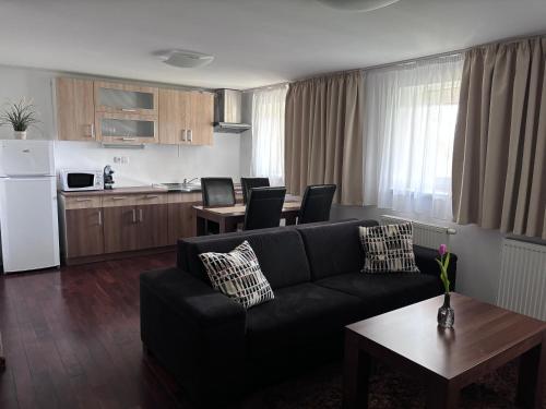 厨房, 斯诺公寓 (Apartmany Snow) in 维索克塔特雷