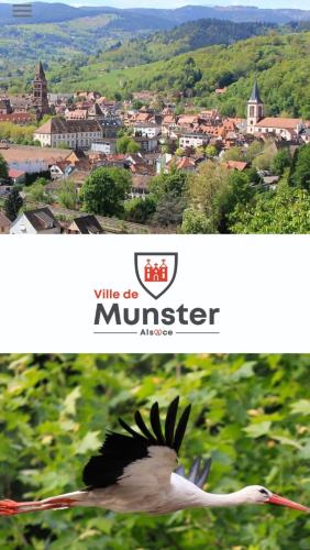 La Bourgogne en Alsace - charmant séjour familial